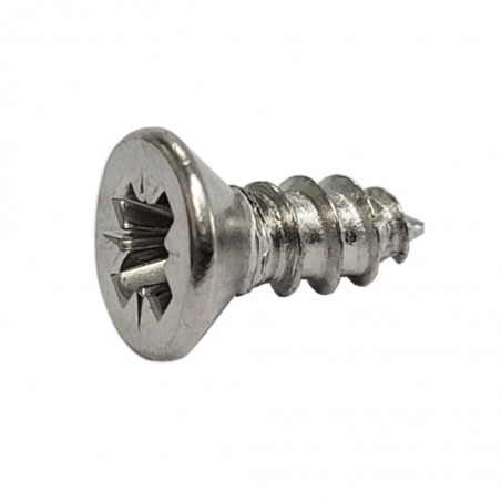 309990_schraube_alurahmen_ni_shop.jpg